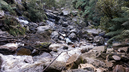 St Columba Waterfall in Tasmania, Australia