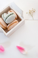 Pink and blue macaron cookies in the basket on white background.