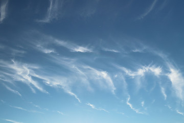 Cirrus clouds on a clear blue sky. Weather forecast. Water in a gaseous state in nature. The...