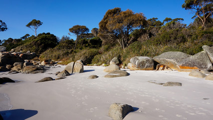 Tasmanian Landscape Photos, Binalong Bay in Tasmania, Australia