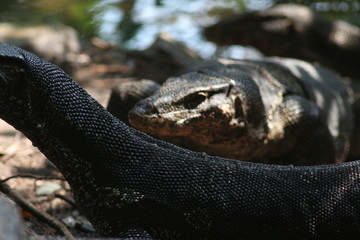 Koh Phangan Island, Surat Thani, Thailand