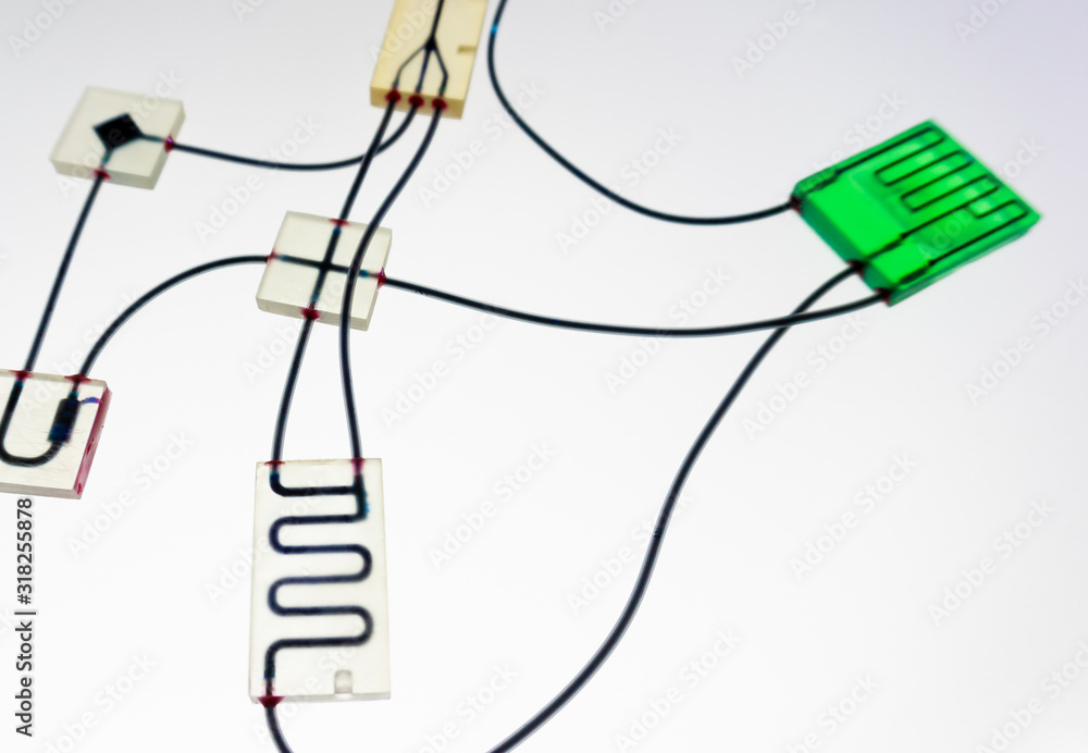 Poster Organ-on-a-chip (OOC) - microfluidic device chip that simulates biological organs that is type of artificial organ. Prototype of design lab-on-a-chip in microfluidic laboratory