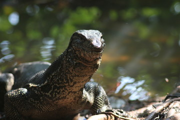 Koh Phangan Island, Surat Thani, Thailand