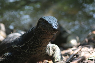 Koh Phangan Island, Surat Thani, Thailand
