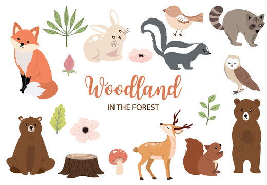 Cute woodland object collection with bear,rabbit,fox,skunk,mushroom and leaves.Vector illustration for icon,logo,sticker,printable