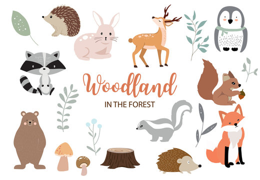 Cute woodland object collection with bear,rabbit,fox,skunk,mushroom and leaves.Vector illustration for icon,logo,sticker,printable