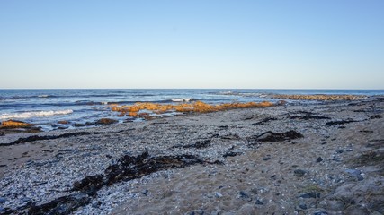 the spectacular red rocks bays of fire in tasmania, australia