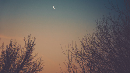 nature and moon phase