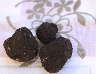 Schwarze Trüffel auf besticktem Tuch