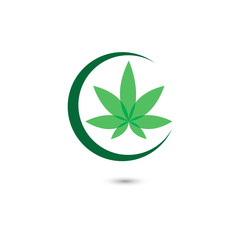 Canabis leaf vector illustration icon design
