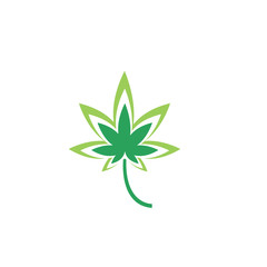 Canabis leaf vector illustration icon design