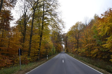 Landstraße in Swisttal