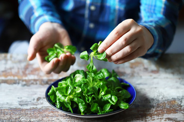 Man's hands put a corn salad on a plate. Chef is preparing a salad. Fresh juicy lettuce leaves. Mash salad. Diet concept. Healthy food. Vegan food.