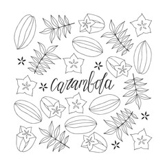 Carambola lettering. Hand drawn poster.  Stock vector illustration.