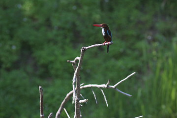 Koh Phangan Island, Surat Thani, Thailand