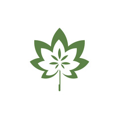 Canabis leaf vector illustration icon design