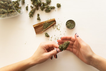Woman rolling a cannabis blunt on white background. Close up of marijuana blunt with grinder....