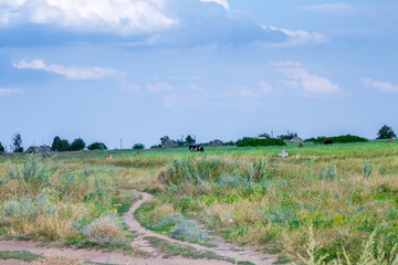 Stone tomb crosses on an ancient Christian necropolis of the 17th-19th centuries. The steppe hills on the right bank of the Dnipro river. Former settlements of Cossacks of Zaporizhzhya Sich in Ukraine