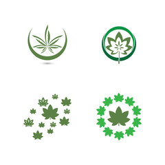 Canabis leaf vector illustration icon design