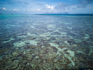 Fototapeta na wymiar scenery sunny day above the coral reef during low tide in Semporna island. during low tide we can see a lot of coral reef and marine fishes around the Bum Bum Island.