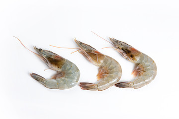 Cooked Shrimps on white background