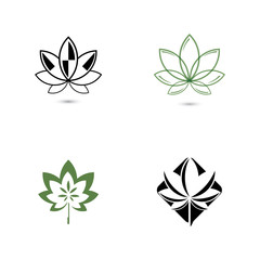 Obraz premium Canabis leaf vector illustration icon design
