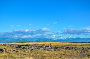 Fototapeta premium plains landscape with blue sky. Tatacoa desert