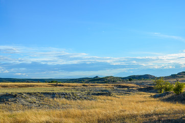 Fototapeta premium plains landscape with blue sky. Tatacoa desert in Colombia