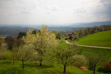 Obraz premium landscape with green field and blue sky