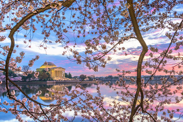 Washington, DC at the Tidal Basin and Jefferson Memorial