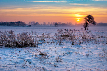 Beautiful winter sunrise over fields covered with snow