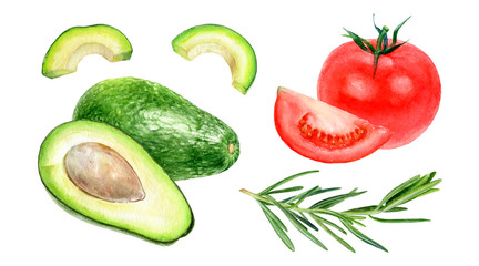 Avocado tomato rosemary set watercolor isolated on white background