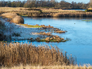 Frosty morning at North Cave Wetlands nature reserve in East Yorkshire, England