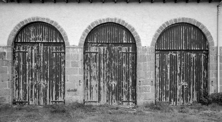 Fototapeta premium Doors