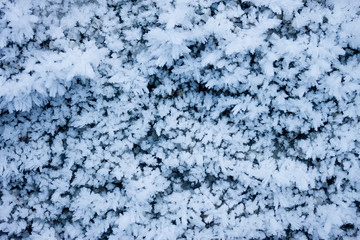 frozen water crystals and snowflakes texture macro