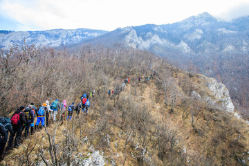 Trekking Group People Outdoor Nature Healthy Activity Mountain Hiking