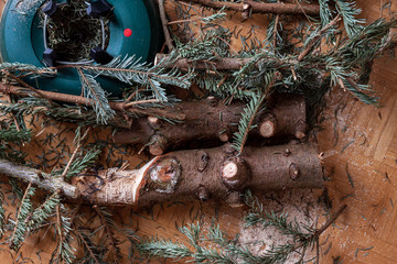 End of christmas fir tree cut into pieces