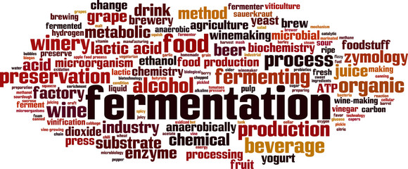 Fermentation word cloud
