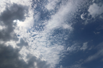 Clear blue sky with cumulus and cirrus clouds. Sunny weather. Joyful mood. High pressure. Clean air ecology. Water in a gaseous state. The source of rain and hail. Weather prediction