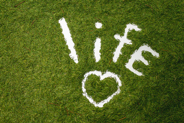 The word LIFE. Pine needle lining. Ecology concept. Hands draw. Image on a green background.