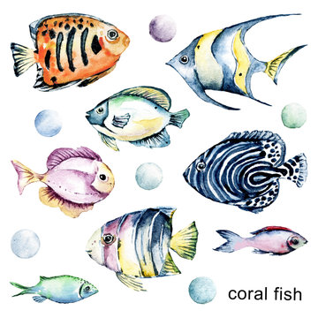 Underwater fish set, sea animals. Ocean life, watercolor cartoon marine illustration. Perfectly for printing kids textile, posters, postcards. Isolated on white. Hand painting.