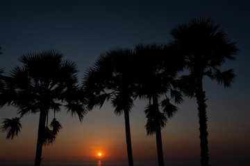 Fototapeta na wymiar palmtree sunset thailand