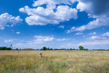 Stone tomb crosses on an ancient Christian necropolis of the 17th-19th centuries. The steppe hills on the right bank of the Dnipro river. Former settlements of Cossacks of Zaporizhzhya Sich in Ukraine