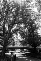 Central Park, Bridge, vertical