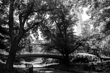 Central park, Bridge, horizontal