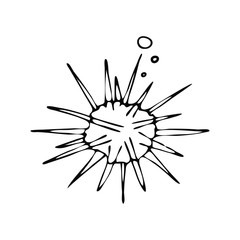 Hand drawn sea urchin doodle vector illustration.
