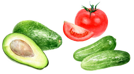 Cucumbers avocado tomato watercolor isolated on white background