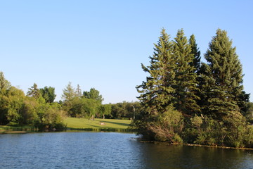 Obraz premium Summer Beauty On The Lake, William Hawrelak Park, Edmonton, Alberta