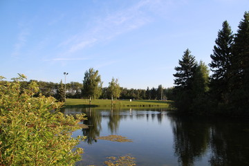 Fototapeta premium Letni wieczór nad jeziorem, William Hawrelak Park, Edmonton, Alberta
