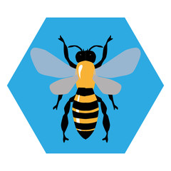 honey bee, vector illustration 